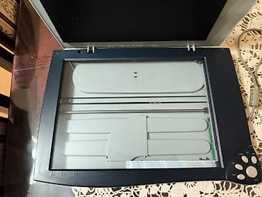 auto fo: Flatbed skener UMAX Astra Be@rPaw 1200CU Plus (USB) - Tip: flatbed — 3
