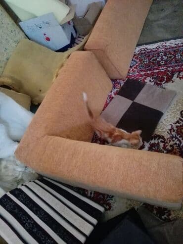 stilske rucice za namestaj: Nasloni — 2