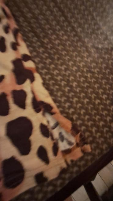 crni spajdermen kostim: Komplet pidžame – majica sa leopard printom i donji deo u braon boji — 4