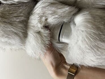 zimska jakna stradivarius: M (EU 38), With lining, Arctic fox, color - Milky-white — 4