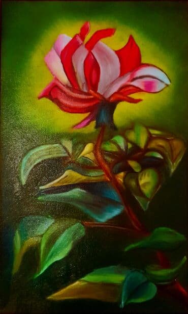 bogumila cvece: Slika, Novo — 2