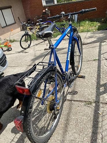 Bicikli za odrasle: KonBIKE muški/uni treking/MTB bicikl, čelični ram TIG Oversize, plave — 4