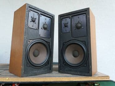 Foto i video kamere: Braun 8 inca, odlicni zvucnici sa drajverima u FABRICKOM stanju, daju — 1