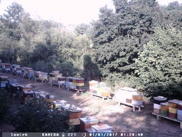 Video nadzor: Kamera za vocnjake, vikendice, pcelare, lovista HC 300M Kamera za — 8