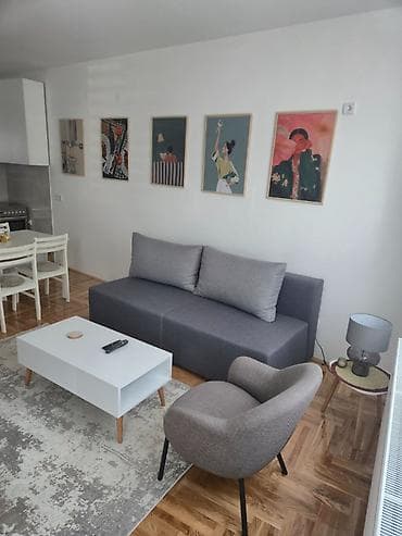 rent a flat in serbia: Izdaje se dvosoban komplet opremljen stan (65m2) u zgradi napravljenoj — 7