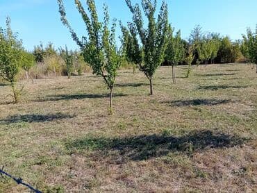 popravka drvenih prozora beograd: U ponudi su profesionalne hortikulturne usluge koje uključuju košenje — 5