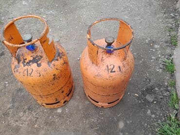 trimer stihl fs 55 cena: Gas cylinder — 1