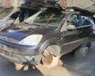 sportski lonac za auto: FORD FIESTA 1.4 2004. GOD. - KOMPLETAN AUTO U DELOVIMA | SMEDEREVSKA — 10
