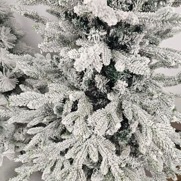 Jelka snezna- bela Jela gusta bela Dimenzije i cene: 120cm- 7000din na lalafo.rs Jelka snezna- bela Jela gusta bela Dimenzije i cene: 120cm- 7000din