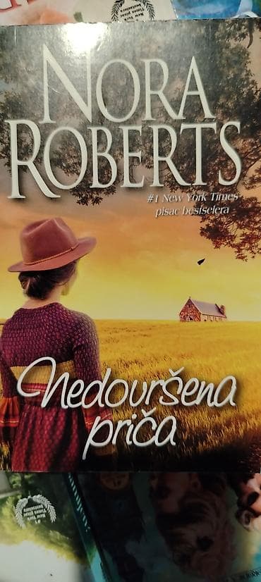 polovne skije i pancerice: Polovna beletristika i klasici – razni naslovi od 200 do 300 rsd - — 10