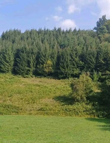 kuce obrenovac: 80 kv. m, 4 sobe — 5