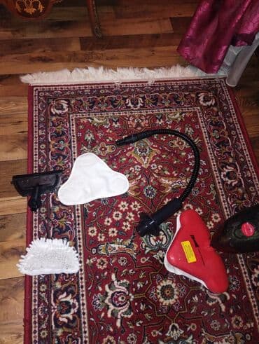 mali usisivaci za kola: Paročistač malo korišćen — 2