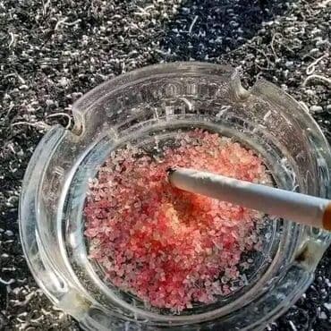 staklene cinije za voce: 🌊AROMATIČNA BIO SO🌊 🚬Pušač ste? 🤭 Imate problema sa neprijarnim — 1