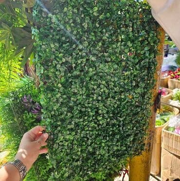 pistolj za eksere na struju cena: Vestacko zelenilo, paneli i dodaci za ukrasavanje prostora, kuce — 5