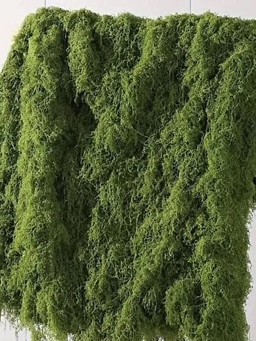 cena heklanih stolnjaka: Vestacka mahovina 100x100
Cena: 2600 din — 6