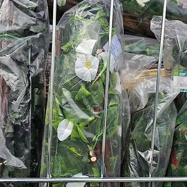 resetka za vodu: Ograda za dvorišta, bašte, terase, balkone, izrađena od prirodnog — 10