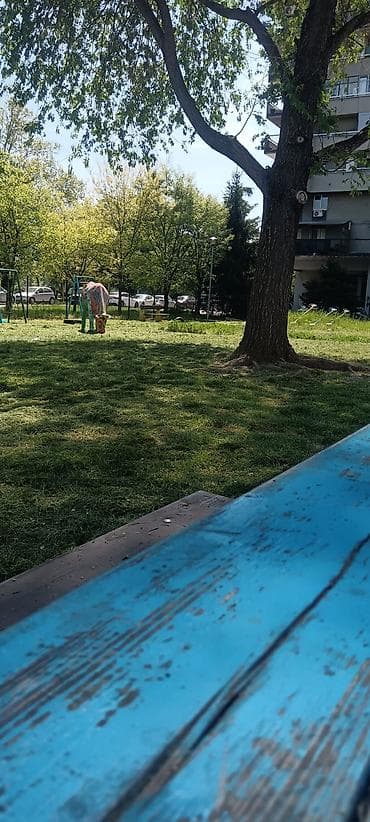 usluzno kosenje trave cena novi sad: Usluga košenja i uređivanja travnjaka – profesionalno održavanje — 6