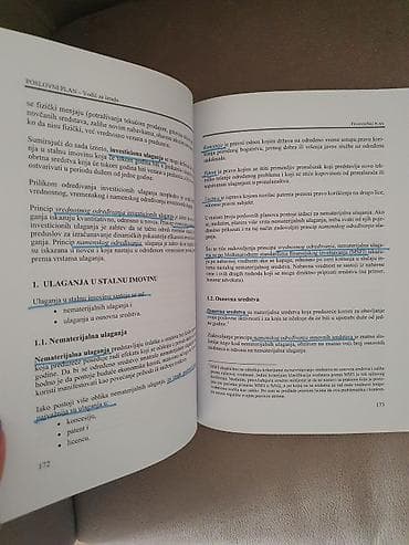 Art & Collectibles: Naslov: Poslovni plan – Vodič za izradu (Dr Blagoje Paunović, Dr — 3