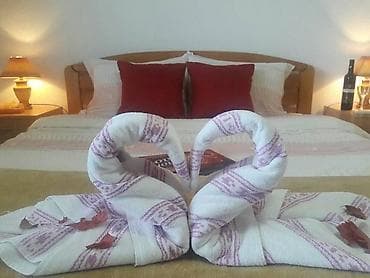 lafo rooms: Sokobanja apartmani! Vila se nalazi na izuzetnoj lokaciji i — 4