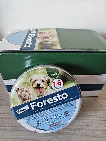 maltezeri na prodaju srbija: Foresto ogrlica za velike i male pse NOVO za pse do 8kg 4850 din za — 2