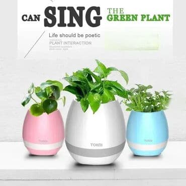 apple novi sad: *** AKCIJA *** #2290 SAKSIJA Bluetoth zvučnik Smart Music Flowerpot – — 9