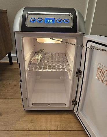 Tosteri: Mini frizider Ambiano Ispravan digitalni mini frizideri poznatog — 2