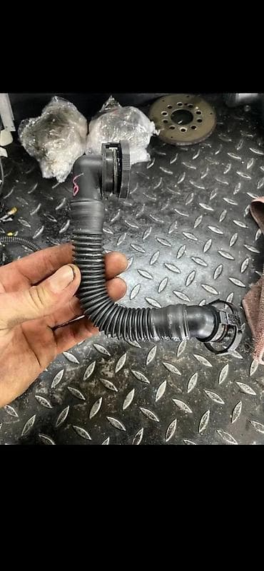 rosule ili rolsue: AUDI Q7 4M DELOVI CREVO IBERLAUFA BG | Audi q7 q5 q3 q2 A1 A3 A4 A5 — 2