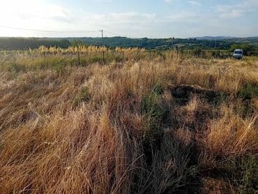popravka drvenih prozora beograd: U ponudi su profesionalne hortikulturne usluge koje uključuju košenje — 8