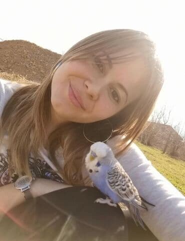 Glodari: Povodci za papagaje – sigurnost, sloboda i poverenje u jednom! — 3