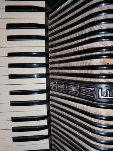 klavir za devojcice: Hohner VERDI IA harmonika - Tip: klavirska harmonika - Brend i model — 3