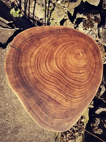 Klub sto panj unikat nauljen 34*34 i visina 45 cm cena fiksna