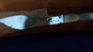 HAUPTNER Veterinarski instrumenti Kao sa slika Novi i polovni. Ne — 8