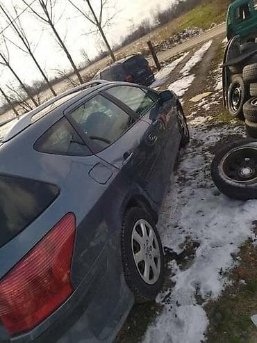 car buy: LIMARIJA ZA PEUGEOT 407 OD 2001. DO 2009. GOD — 3