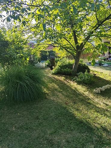 kuće čačak: Porodična kuća sa prostranim dvorištem i zelenilom - Samostalna kuća — 6