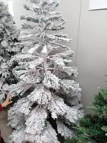 cena jagode 2024: Jelkeee Cene : 120cm-5800din 150cm-7700din 180cm - 10200din — 1