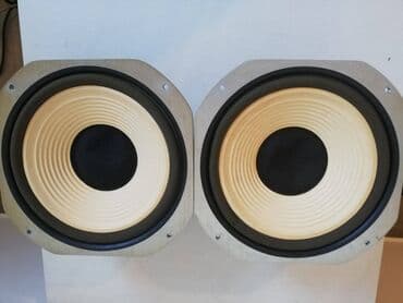 Audio: -basovi 10 inca; 130w; 8 oma ispravni, vesanja za zamenu=70e/par — 3