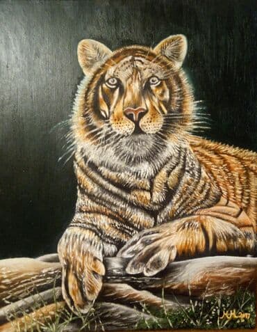 pirotski ćilim prodaja: Slika, 50 x 60 cm, Novo — 6
