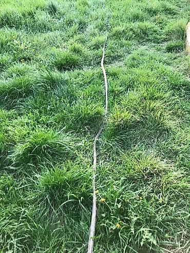 kabl za samsung punjac: Dalekovodni visokonaponski petozilni kabl sa sajlom debeo tezak tacno — 10