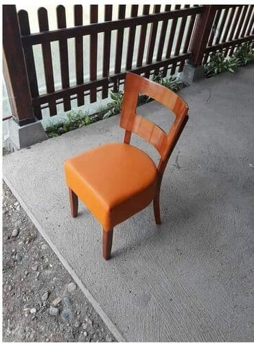 kožne stolice: TARA stolice iz proizvodnje, modeli mebla ili eko koze i boja drveta — 4