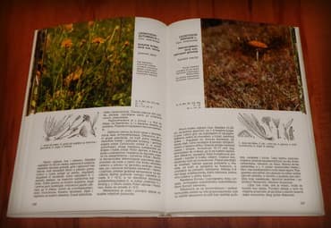 lektira za 3 razred: Livadske biljke, prof. dr Ljubomir Mišić / prof. dr Radomir Lakušić — 4