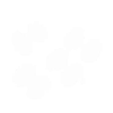 Bicikli: Set bučica – 5 pari - Ručne tegove sa šraf-osovinom i pločama — 2