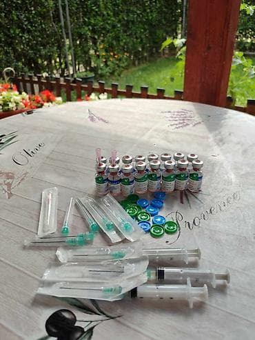psi na poklon pancevo: Prelepa štenad Rotvajlera, 2 meseca starosti. Izuzetan karakter i — 9