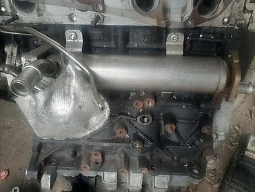 HLADNJAK EGER VENTILA ZA VOLKSWAGEN PASSAT B6 | Hladnjak eger