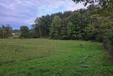 prodaja kuce jajinci: Seosko domacinstvo Opis oglasa Na prodaju seosko domacinstvo u selu — 8