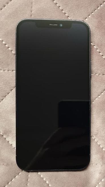 skytec multimedia audio centre: Apple iPhone 12 – crna boja - Ekran: 6.1" Super Retina XDR OLED — 4