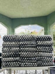 Houseplants: Size - Double — 3