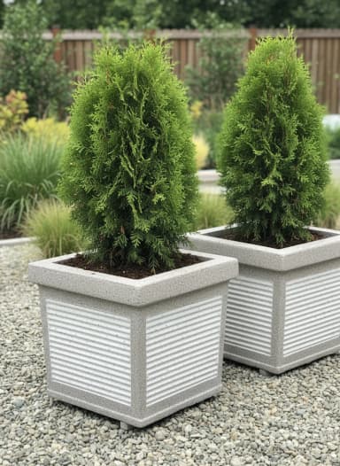 🌿 Zardinjera za tuje – Novi model 📏 Dimenzije i primena Oblik