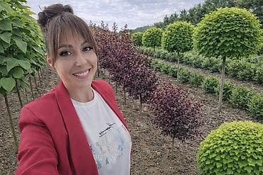 Ukrasne i vocne sadnice Rasadnik Prestiž Naš pouzdan izvor na lalafo.rs — 4 Ukrasne i vocne sadnice Rasadnik Prestiž Naš pouzdan izvor — 4