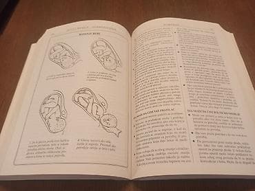 Naslov: Šta da očekujete dok čekate bebu Autor: Sendi Hetavej, Arlin na lalafo.rs — 10 Naslov: Šta da očekujete dok čekate bebu Autor: Sendi Hetavej, Arlin — 10