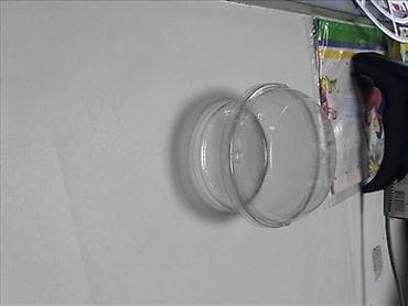 kom sa etiketom: Case za cizkejk posude za cizkejk Akcija case za cheesecake 16 at lalafo.rs — 1 kom sa etiketom: Case za cizkejk posude za cizkejk Akcija case za cheesecake 16 — 1